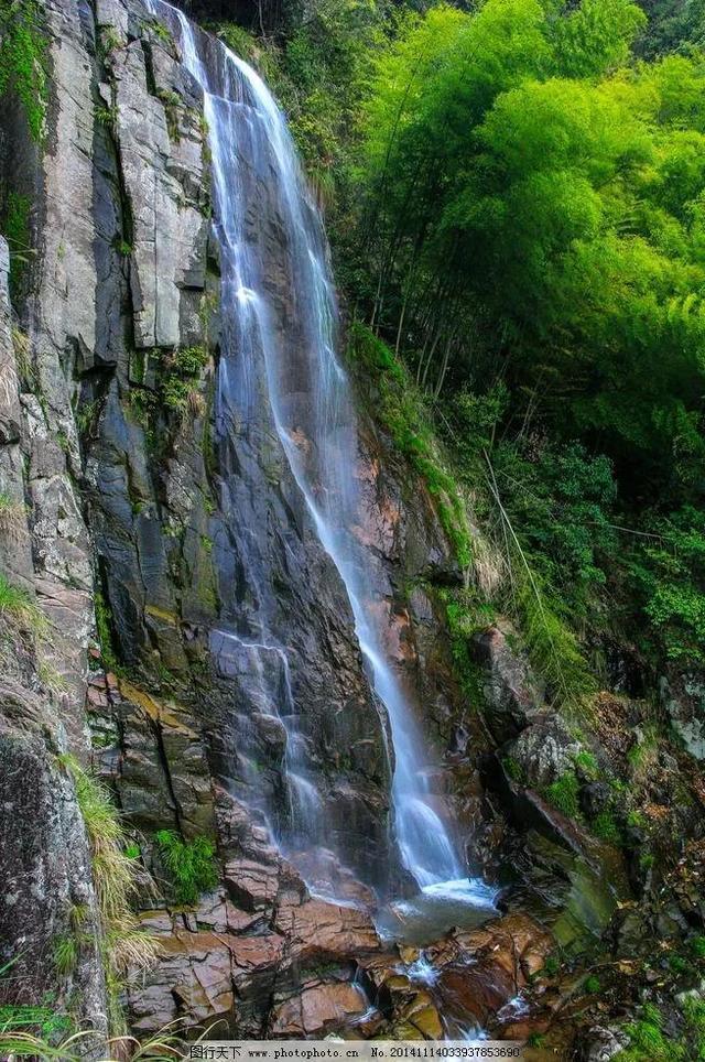 特朗普的强势回归,不止让西方世界哀声遍野,台岛更如万箭穿心