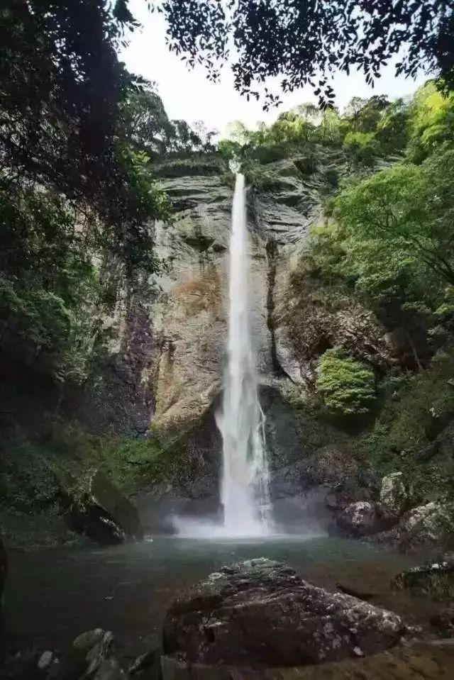 解救可爱的鸭子